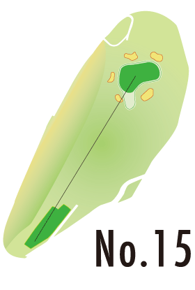 No.15