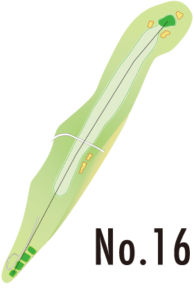 No.16