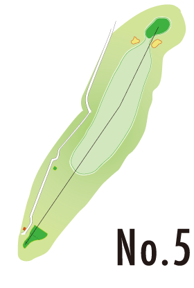 No.5